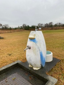 ペンギン氏は年季の入ったベテランさん。